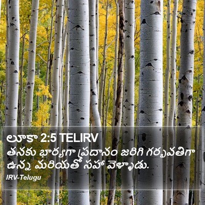 లూకా 2:5 TELIRV Bible Verse Image