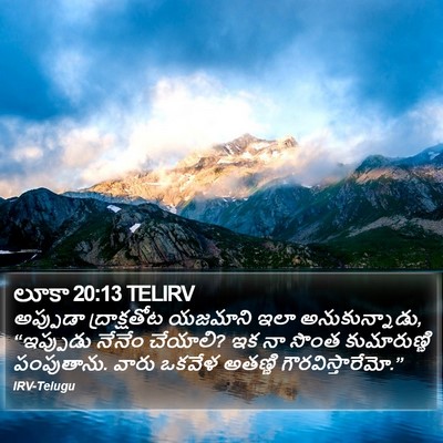 లూకా 20:13 TELIRV Bible Verse Image