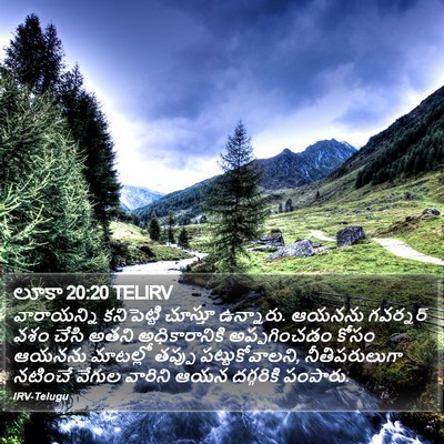 లూకా 20:20 TELIRV Bible Verse Image