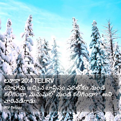 లూకా 20:4 TELIRV Bible Verse Image