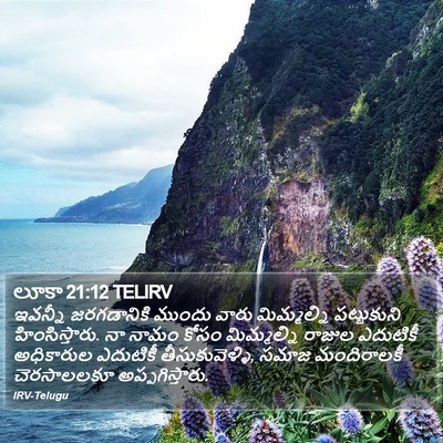 లూకా 21:12 TELIRV Bible Verse Image