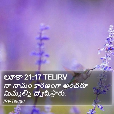 లూకా 21:17 TELIRV Bible Verse Image