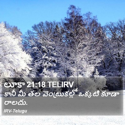 లూకా 21:18 TELIRV Bible Verse Image