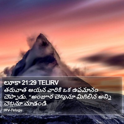 లూకా 21:29 TELIRV Bible Verse Image
