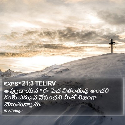 లూకా 21:3 TELIRV Bible Verse Image