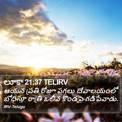 లూకా 21:37 TELIRV Bible Verse Image