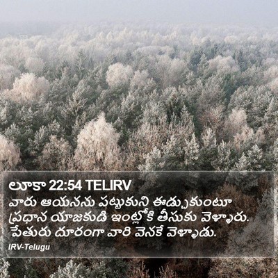 లూకా 22:54 TELIRV Bible Verse Image