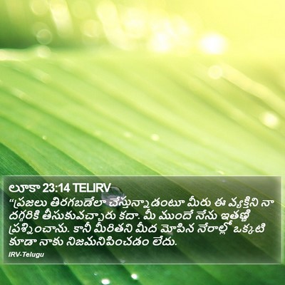 లూకా 23:14 TELIRV Bible Verse Image