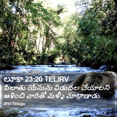 లూకా 23:20 TELIRV Bible Verse Image