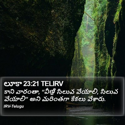 లూకా 23:21 TELIRV Bible Verse Image