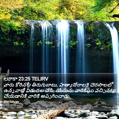 లూకా 23:25 TELIRV Bible Verse Image
