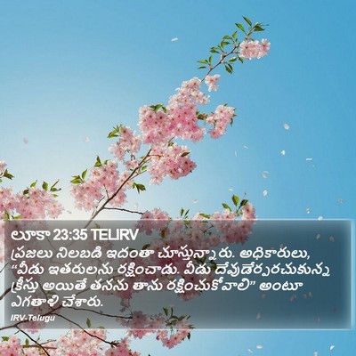 లూకా 23:35 TELIRV Bible Verse Image