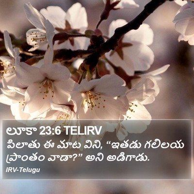 లూకా 23:6 TELIRV Bible Verse Image