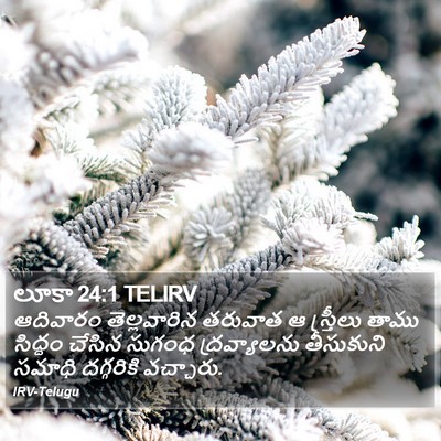 లూకా 24:1 TELIRV Bible Verse Image