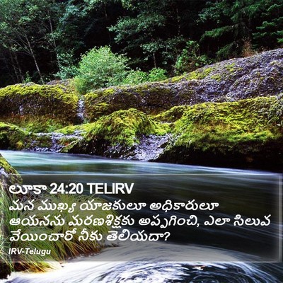 లూకా 24:20 TELIRV Bible Verse Image