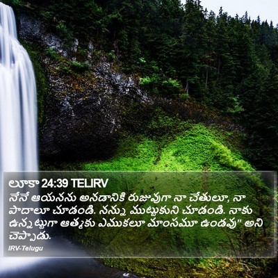 లూకా 24:39 TELIRV Bible Verse Image