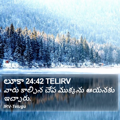 లూకా 24:42 TELIRV Bible Verse Image