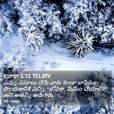 లూకా 3:12 TELIRV Bible Verse Image