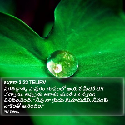 లూకా 3:22 TELIRV Bible Verse Image