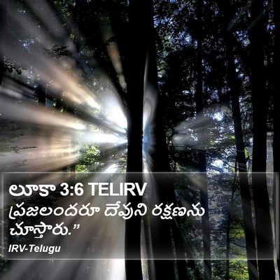 లూకా 3:6 TELIRV Bible Verse Image