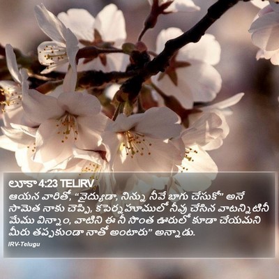 లూకా 4:23 TELIRV Bible Verse Image