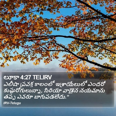 లూకా 4:27 TELIRV Bible Verse Image
