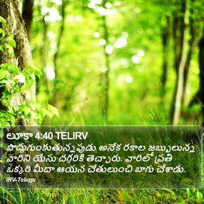 లూకా 4:40 TELIRV Bible Verse Image