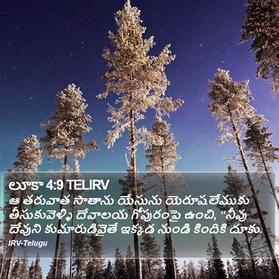 లూకా 4:9 TELIRV Bible Verse Image