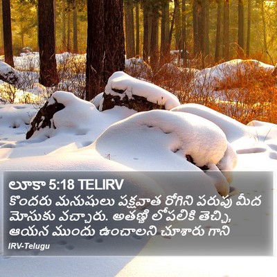 లూకా 5:18 TELIRV Bible Verse Image