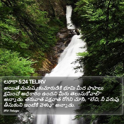 లూకా 5:24 TELIRV Bible Verse Image