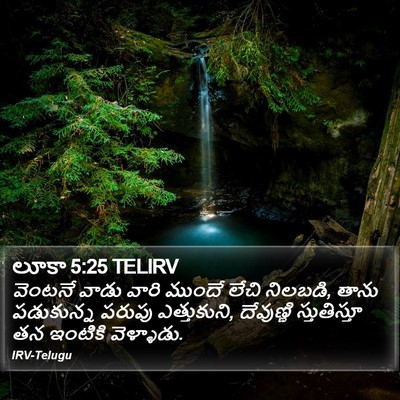 లూకా 5:25 TELIRV Bible Verse Image