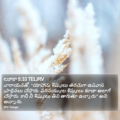 లూకా 5:33 TELIRV Bible Verse Image