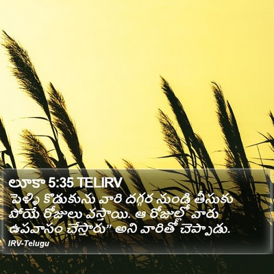 లూకా 5:35 TELIRV Bible Verse Image