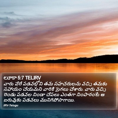 లూకా 5:7 TELIRV Bible Verse Image
