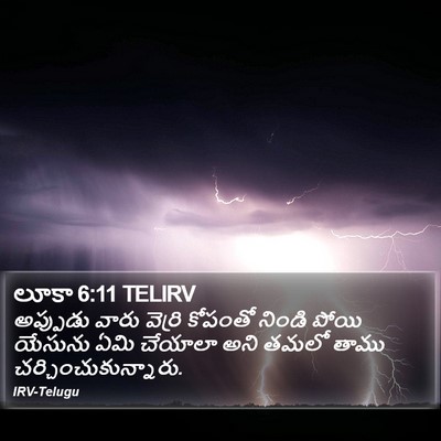 లూకా 6:11 TELIRV Bible Verse Image