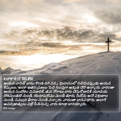 లూకా 6:17 TELIRV Bible Verse Image