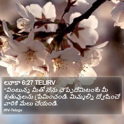 లూకా 6:27 TELIRV Bible Verse Image