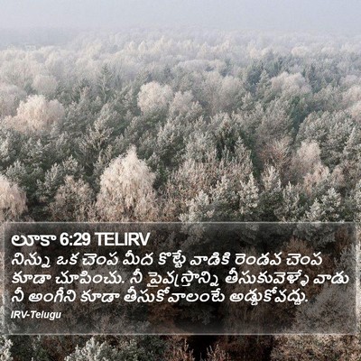 లూకా 6:29 TELIRV Bible Verse Image