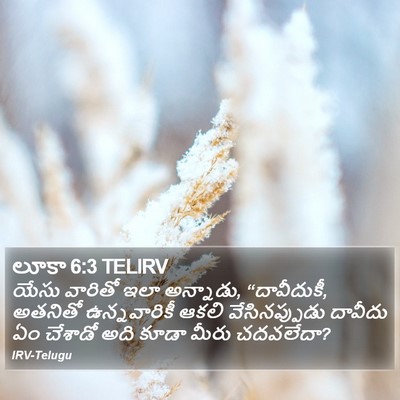 లూకా 6:3 TELIRV Bible Verse Image