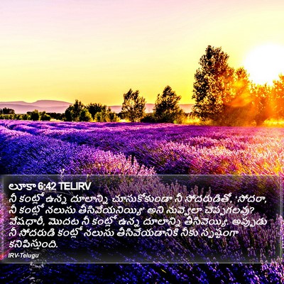 లూకా 6:42 TELIRV Bible Verse Image