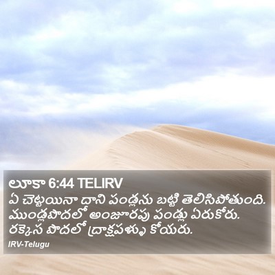 లూకా 6:44 TELIRV Bible Verse Image