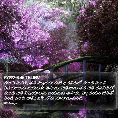 లూకా 6:45 TELIRV Bible Verse Image
