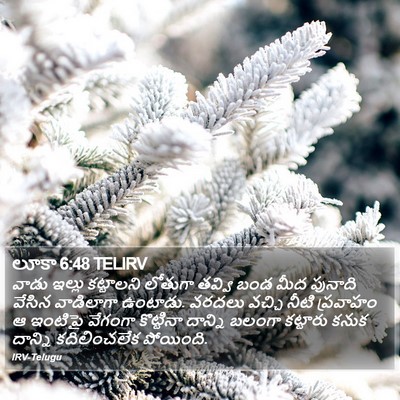 లూకా 6:48 TELIRV Bible Verse Image