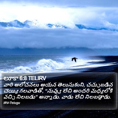 లూకా 6:8 TELIRV Bible Verse Image