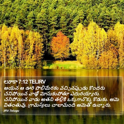 లూకా 7:12 TELIRV Bible Verse Image