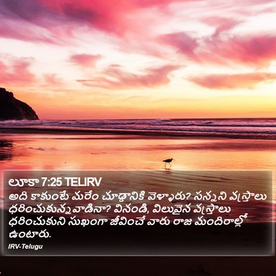 లూకా 7:25 TELIRV Bible Verse Image