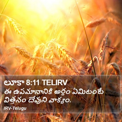 లూకా 8:11 TELIRV Bible Verse Image