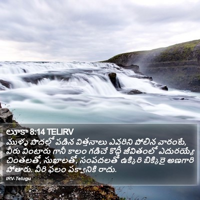 లూకా 8:14 TELIRV Bible Verse Image