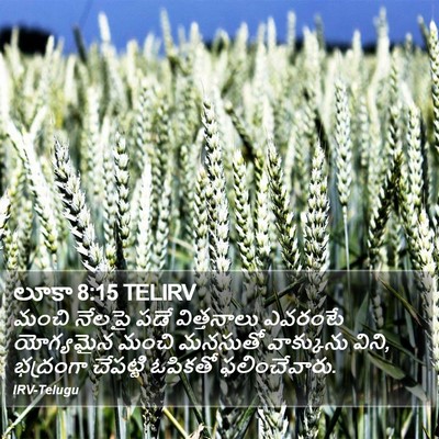 లూకా 8:15 TELIRV Bible Verse Image