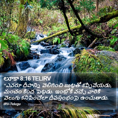 లూకా 8:16 TELIRV Bible Verse Image
